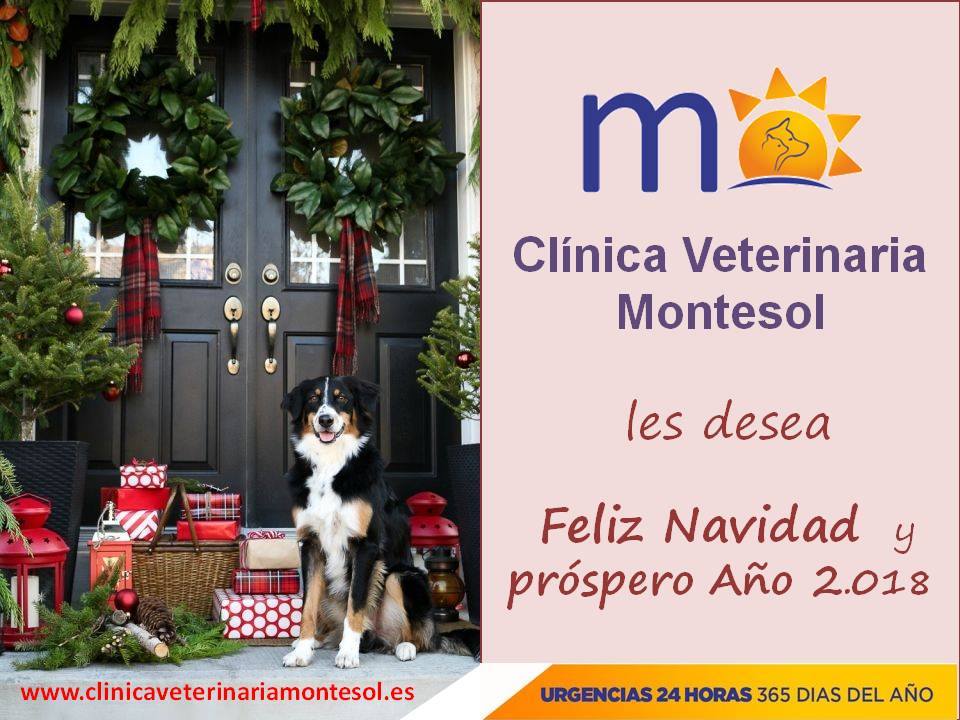 veterinarionavidadcaceres Feliz Navidad y próspero Año 2018
